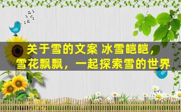 关于雪的文案 冰雪皑皑，雪花飘飘，一起探索雪的世界
